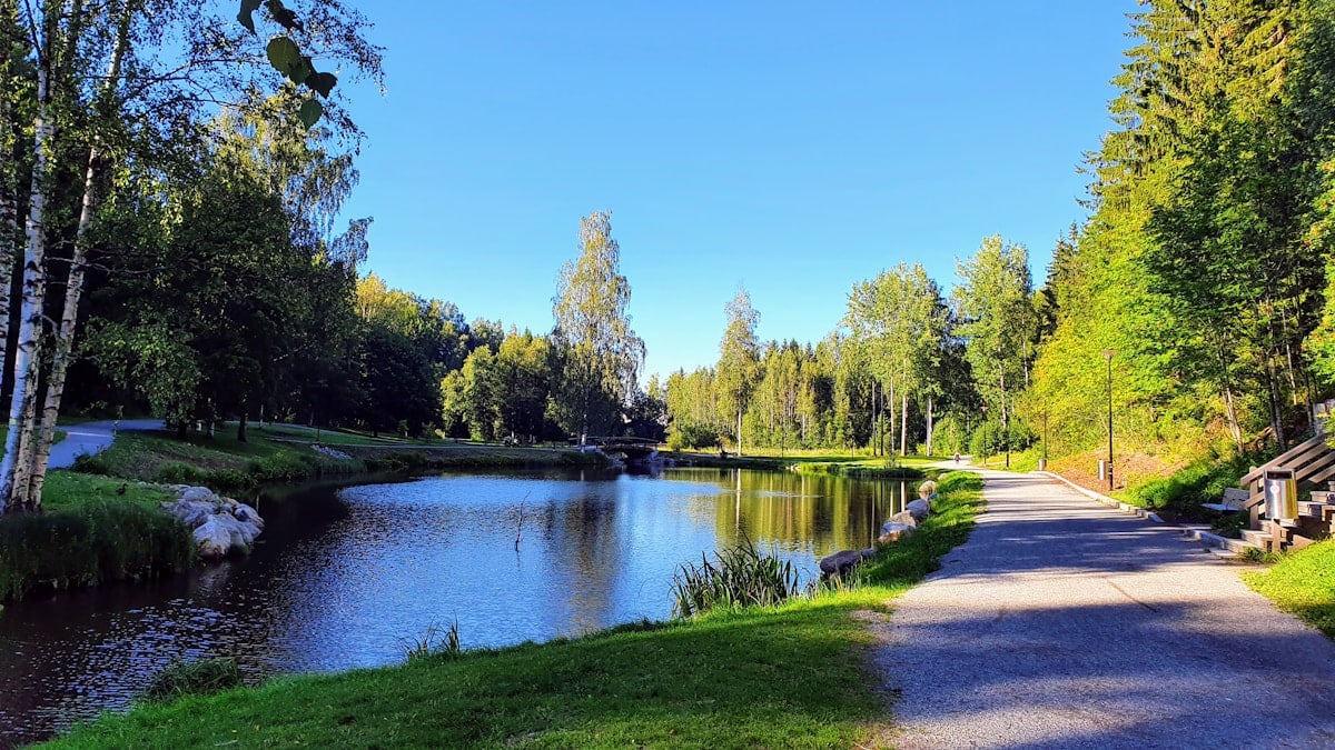 green trees beside river under blue sky during daytime